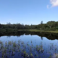 ニセコパノラマライン