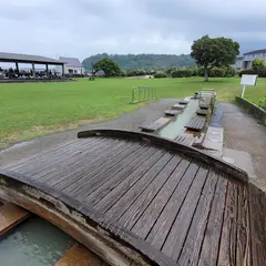 桜島溶岩なぎさ公園足湯