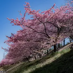 加茂川公園