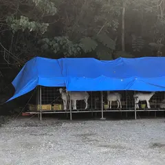 ゲストハウスまたや