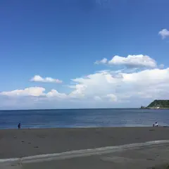 美国漁港海岸緑地広場 キャンプ場