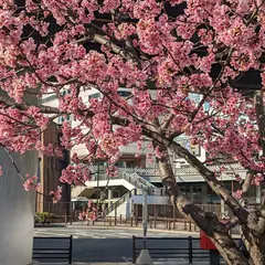 キュポラ広場
