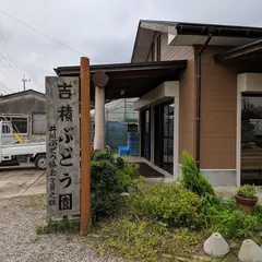 吉積ぶどう園
