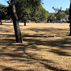 高浜公園