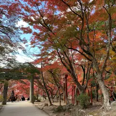 宝満宮竈門神社の紅葉