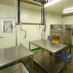 株式会社小島水産