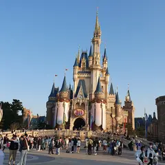 東京ディズニーランド