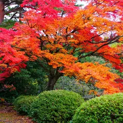 寺家公園