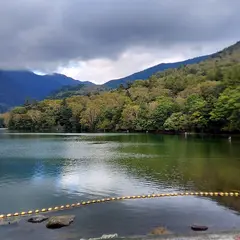 湯ノ湖