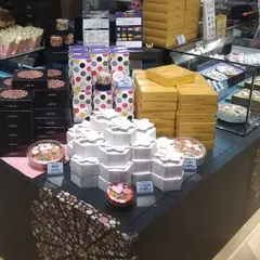 銀座 菊廼舎 東京ドームシティ ラクーア店