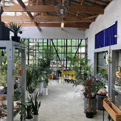 八丈島ボタニカル＆カフェ DRACO