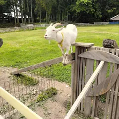 メリー牧場