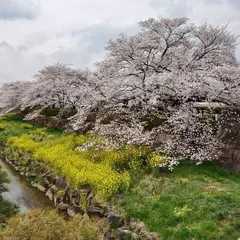 川越聖地霊園