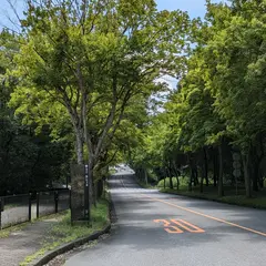第一エリア前(バス停)
