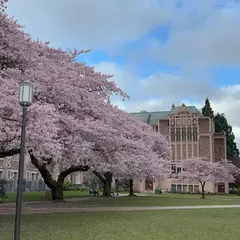 ワシントン大学