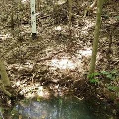 青江の井戸