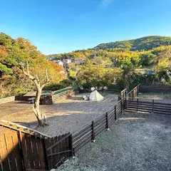 スターホーム