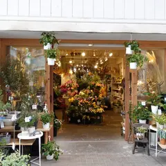 カタリ
