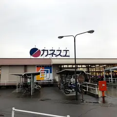 カネスエ五郎丸店