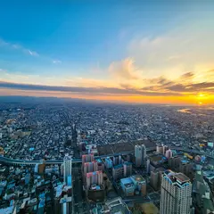 ハルカス300(展望台)