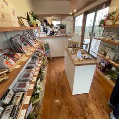 Bocchi concept shop