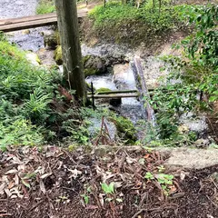 ケカチの水
