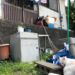 手打ち うどん 風輪