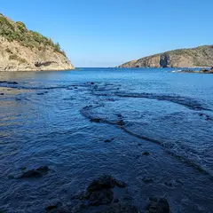 桂島園地