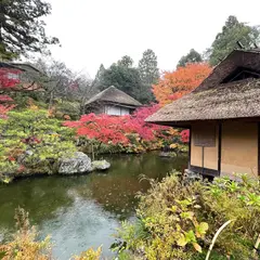 青龍苑