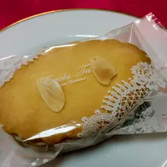 えの木てい