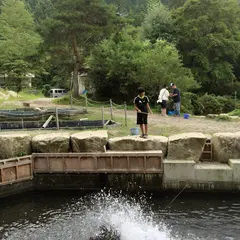 高橋渓流
