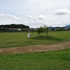 いせきんぐ宗像