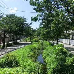 北沢川緑道