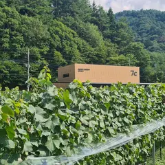 7c villa&winery