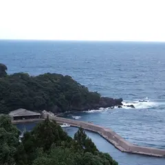 新井崎の舟屋跡地