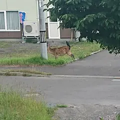 お宿来羅玖
