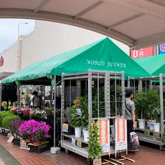 ワールドフラワー