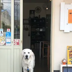 ペラゾカフェ