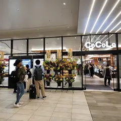 CoCoLo新潟