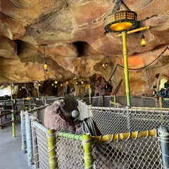 ピーターパンのネバーランドアドベンチャー