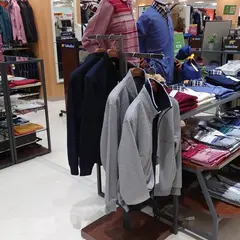 ゴールデンベア