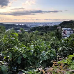 桃楽糸柚香農場