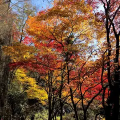 帝釈峡