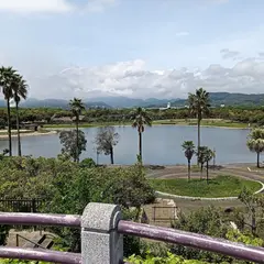 太陽の丘