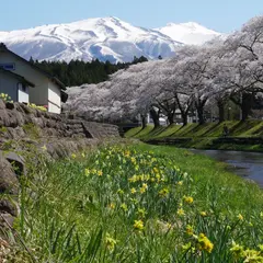 中山河川公園