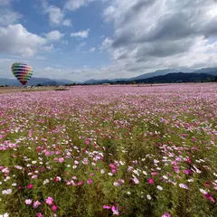 藤原宮跡