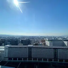 葉っぴいてらす