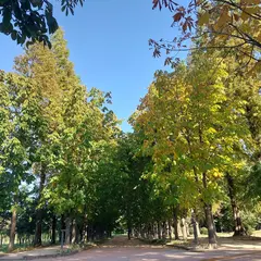 Gyeongbuk Millennium Forest Gardens
