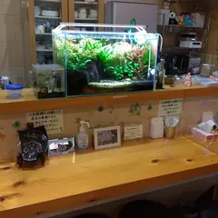 ごえんさん