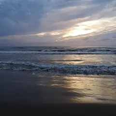 今浜海水浴場
